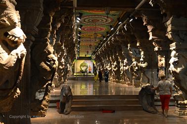 Meenakshi Temple, Madurai,_DSC_7983_H600